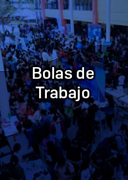 Bolsa de Trabajo