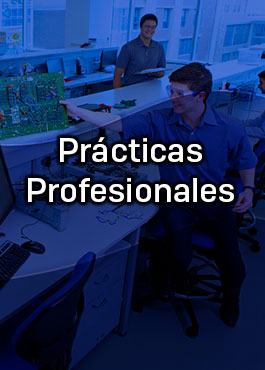 Prácticas Profesionales