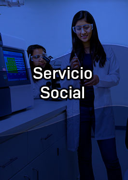 Servicio Social