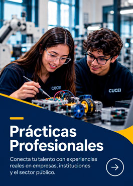 Prácticas Profesionales