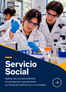 Servicio Social