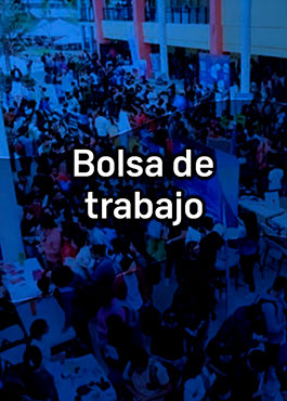 Bolsa de trabajo